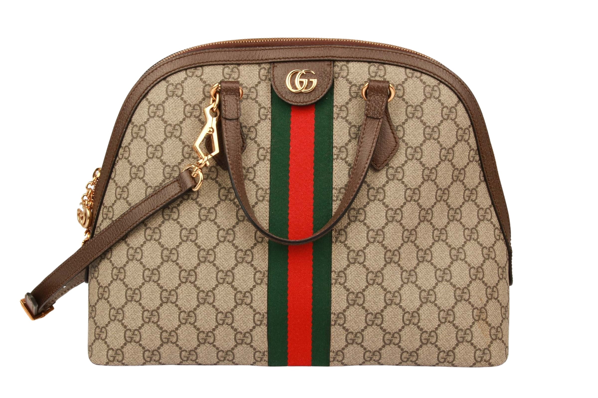 Gucci Ophidia Bag Guccissima Canvas